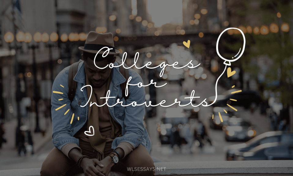colleges for introverts